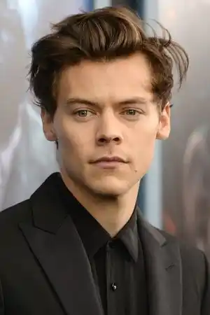 Harry Styles fotoğrafı