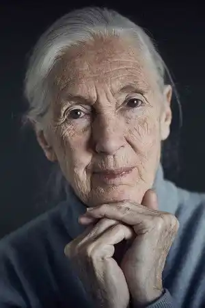 Jane Goodall fotoğrafı