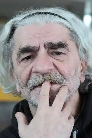 Nermin Tulić fotoğrafı