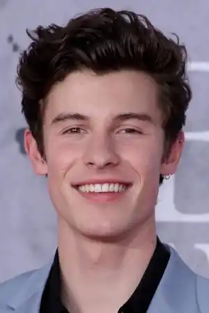 Shawn Mendes fotoğrafı