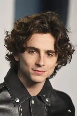 Timothée Chalamet fotoğrafı