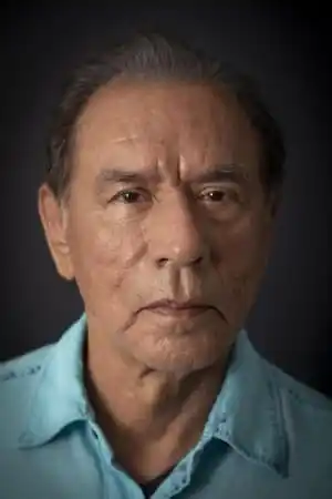 Wes Studi fotoğrafı