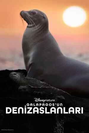 Galapagos'un Denizaslanları izle