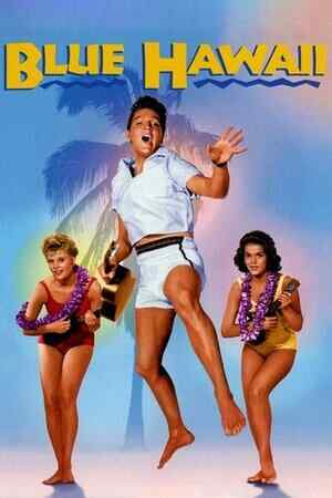 Mavi Hawai Geceleri izle