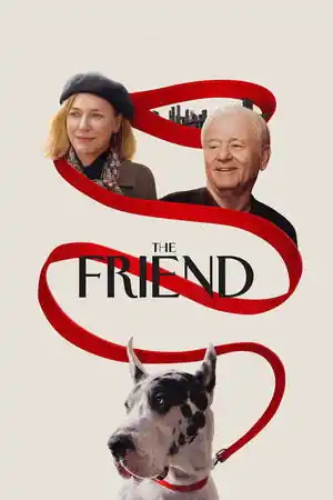 Dost izle