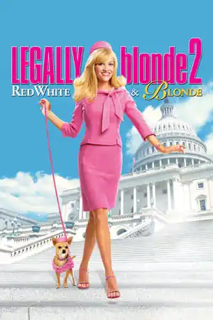 Bu Nasıl Sarışın 2 izle