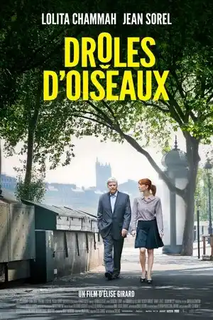 Tuhaf Kuşlar izle
