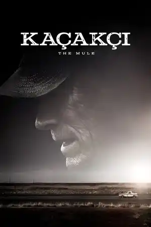 Kaçakçı izle