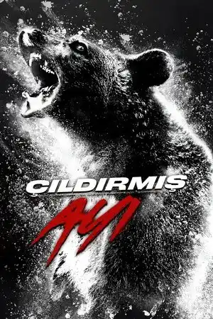 Çıldırmış Ayı izle