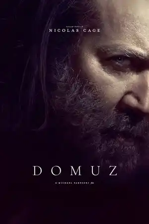 Domuz izle