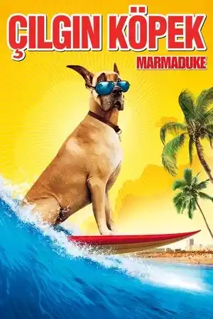 Çılgın Köpek izle