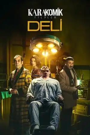 Karakomik Filmler 2: Deli izle