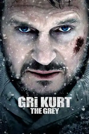 Gri Kurt izle