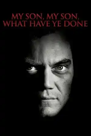 Benim Güzel Oğlum, Ne Yaptın Sen? izle