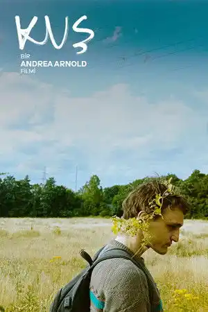 Kuş izle