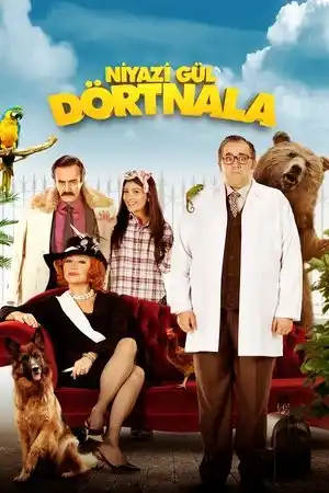 Niyazi Gül: Dörtnala izle