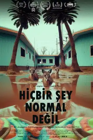 Hiçbir Şey Normal Değil izle