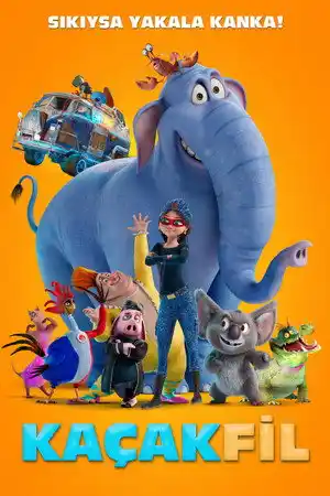 Kaçak Fil izle
