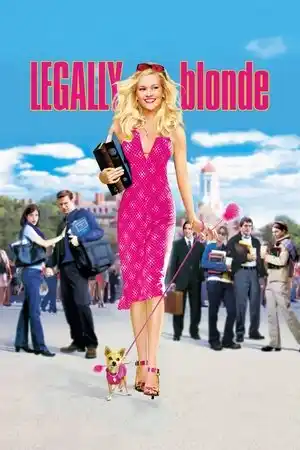 Bu Nasıl Sarışın! izle