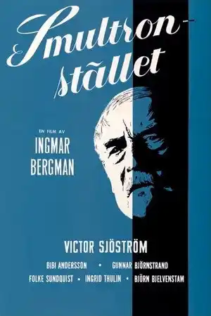 Yaban Çilekleri izle