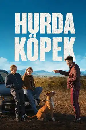 Hurda Köpek izle