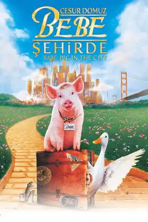 Cesur Domuz Bebe: Şehirde izle