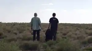 Ölü Arının İğnesi
