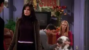 Chandler Köpeklerden Hoşlanmaz