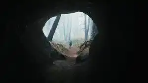 Dejavu