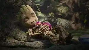 Groot'um Musun?